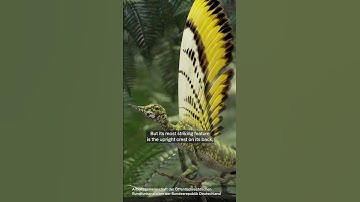 New "Wonder Dinosaur" discovered in Germany