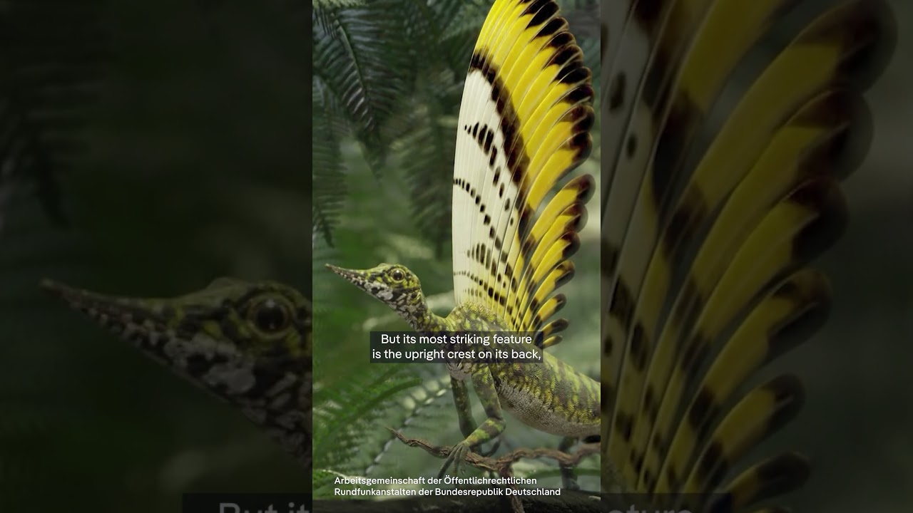 New "Wonder Dinosaur" discovered in Germany