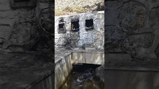 Dersim Ana Fatma Ziyaret Ğa Şfet