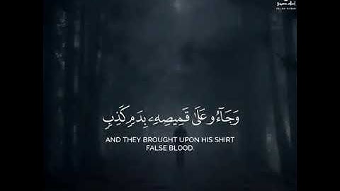  القران الكريم سورة يوسف قَالَ بَلْ سَوَّلَتْ لَكُمْ أَنفُسُكُمْ أَمْرًا ۖ فَصَبْرٌ جَمِيلٌ ۖ