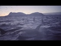 Orcasm in norway  biggest gathering of killer whales ever filmed