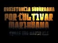 Por Cultivar Marihuana - Resistencia Suburbana (Cosas que nadie oía)