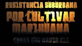 Watch Resistencia Suburbana Por Cultivar Marihuana video
