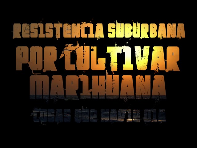 Resistencia Suburbana - Por Cultivar Marihuana