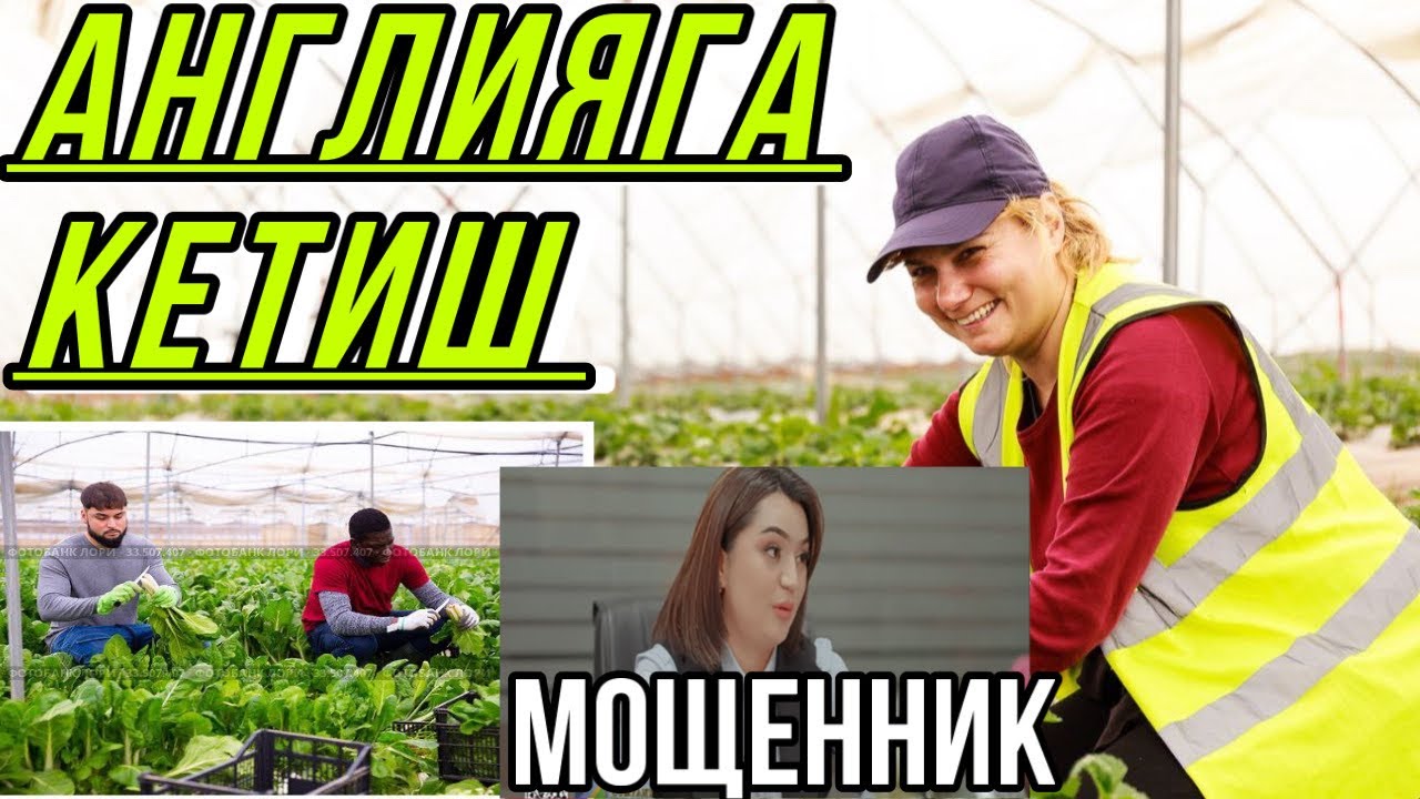 АНГЛИЯГА БОРИБ ИШЛАШ