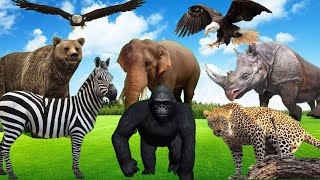 Cute Little Animals: Cow, Swan, Duck, Cat, Dog, Elephant, Monkey, Sheep, Frog, Animal S