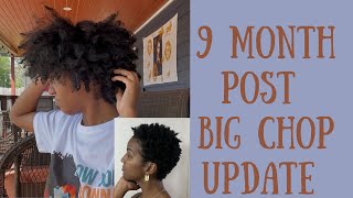 9 Month Post Big Chop Update (April Length Check)