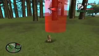 GTA San Andreas - Animals Race GTA San Andreas - Animals Race