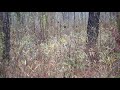 Spot the Sniper