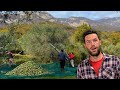 Come HO RACCOLTO tutte le OLIVE