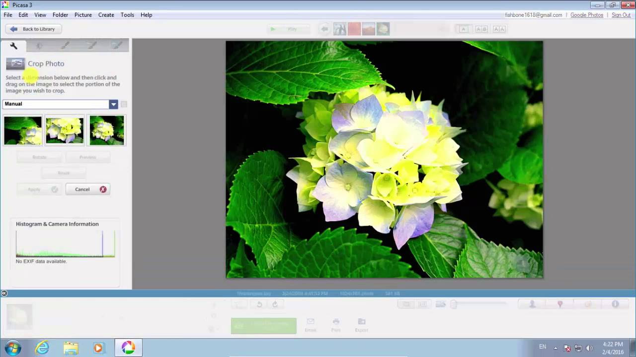 ลบ picasa Update New Phần mềm chỉnh sửa ảnh Picasa cực hay