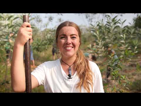 Video: Bomen Planten En Predikingstolerantie In Sadhana Forest - Matador Network