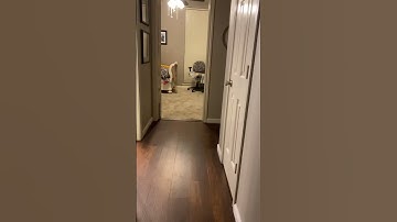 Day 1 of making bad transitions #transition #amazing