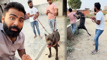 Training with panther gone wrong 😟