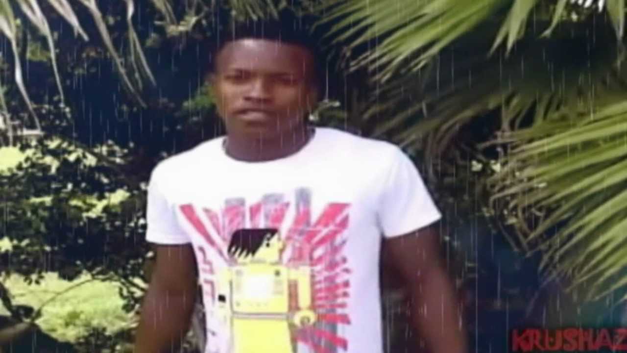 Ed Haadie "Danceramma" DVD Promo (Krushaz Inc)