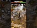 Ranking Funny Chicken Scream Moments #funny #tiktok