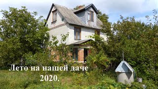 Лето на нашей даче 2020