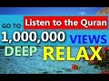 Listen to the Quran for Relax &  Beat Insomnia & peace of mind & discover Islam 9