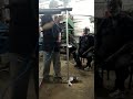 Video Image
