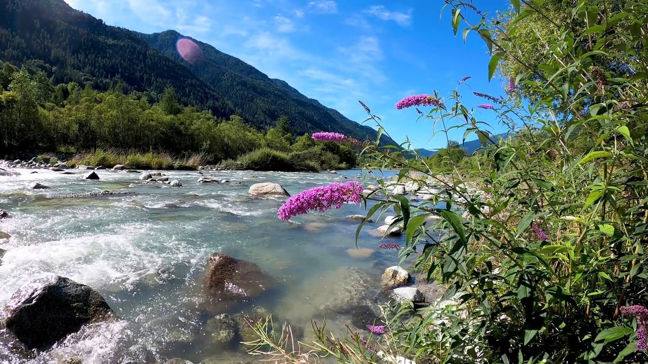 Riverside Relaxation - Soothing River Nature Sounds - Relax,Sleep,Study