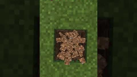 How to Make A troll Trap For your Friend