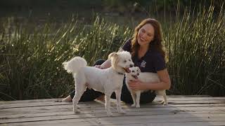 Dog Competition for Series 11 of Pooches at Play