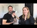 Katherine Power Justin Coit Interview ElleVet Sciences Pets In Need Project