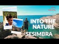 Trails and Tales: Exploring Lisbon&#39;s Natural Beauty on Foot / SESIMBRA, LISBON