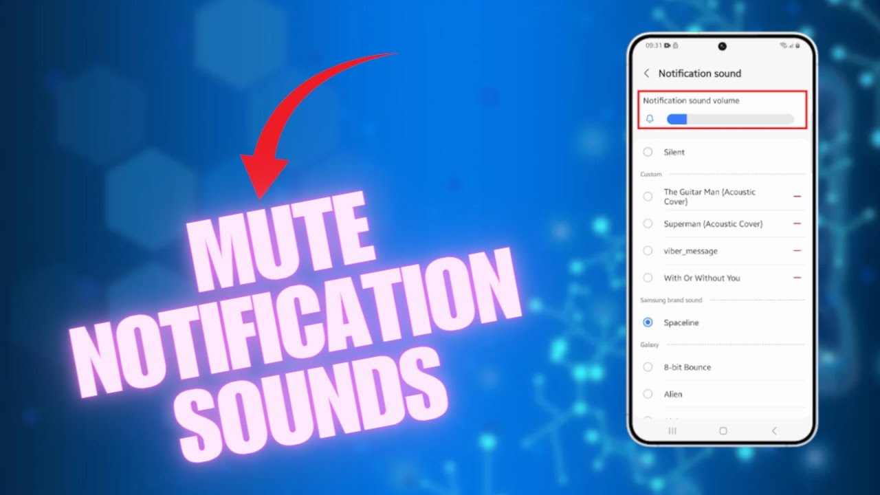 Two Ways to Mute the Notification Sounds On Galaxy S25 - YouTube