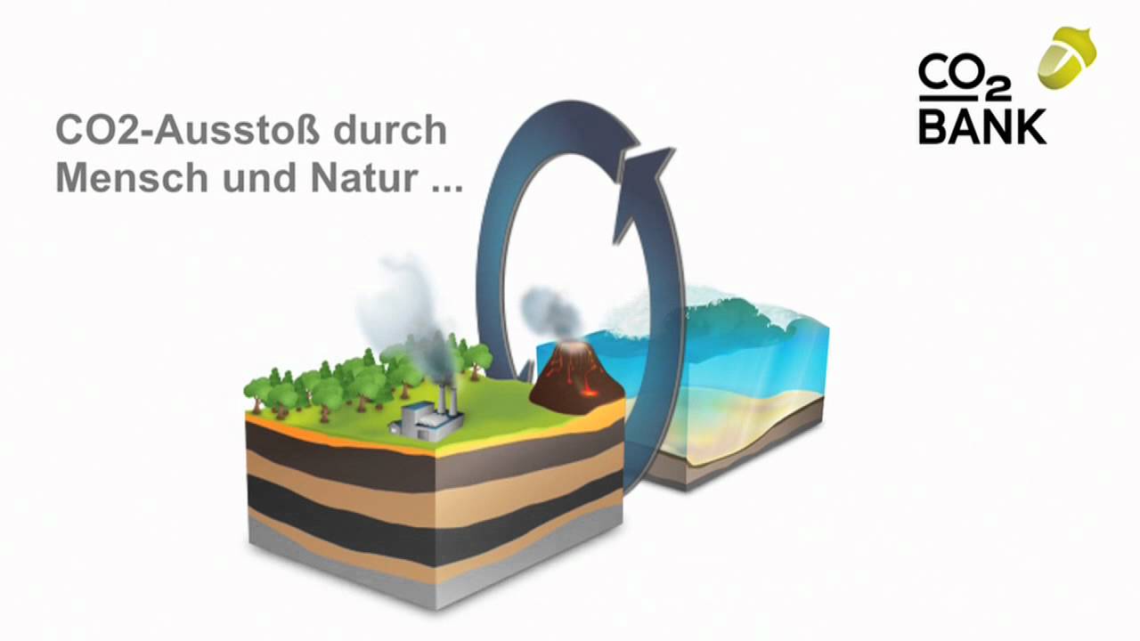 Was Ist Bio Co2 Und Wie Funktioniert Es? – BMJWPP