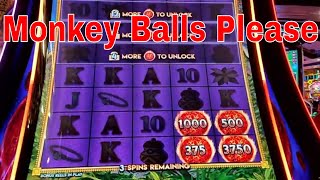 Ultimate Fire Link Monkey Balls. Monkey tosses some balls Nice Bonuses win