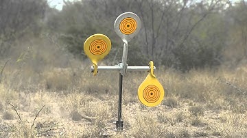 .38/.44 Auto Reset Target