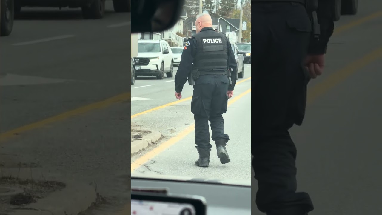 A Canadian 🇨🇦 Police Officer stops all traffic to catch a Little Dog 🐶❤️