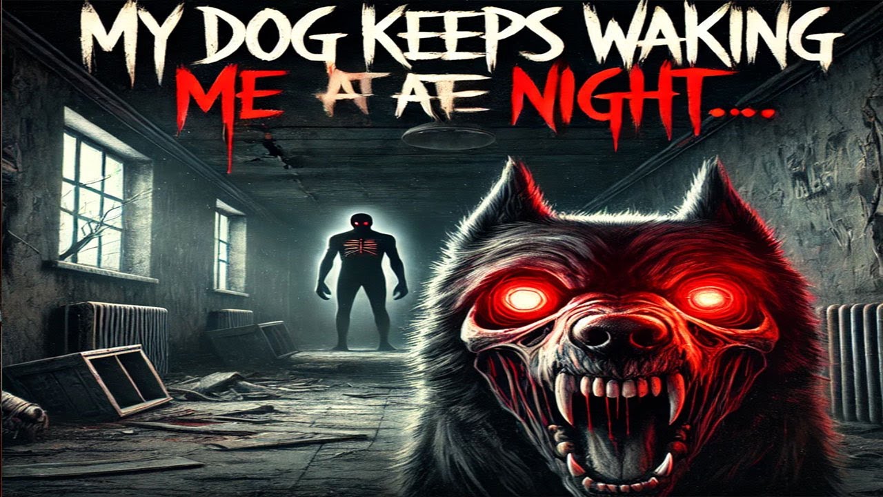 HORROR STORY HOW MY DOG KEEPS WAKING ME UP AT NIGHT EVEN THOUGH HE horror-story-how-my-dog-keeps-waking-me-up-at-night-even-though-he
