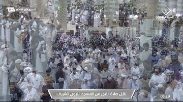 ماتيسر من سورة مريم لـ فضيلة الشيخ #علي_الحذيفي صلاة الفجر الإربعاء ١ ربيع الثاني ١٤٤٤هـ