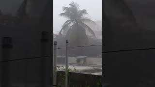 Mansoon Entered in Telangana #nature #rain #trending #shorts #video #youtubeshorts #short #youtube