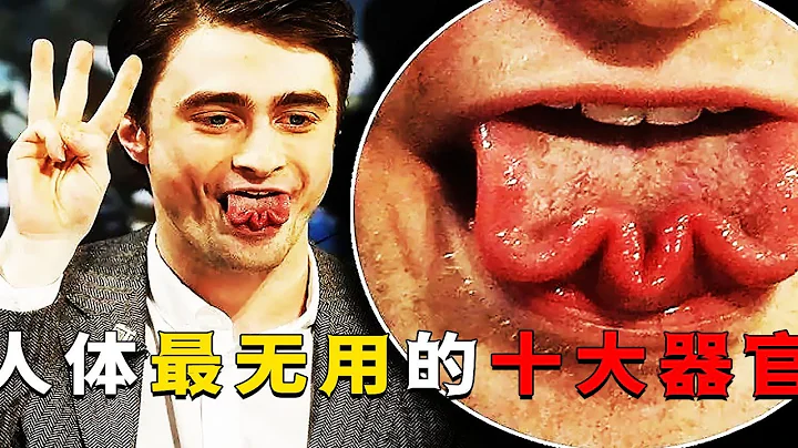 《冷知识涨知识》盘点人体的十个无用器官。男人有胸却不喂奶，有的发炎就割掉？ - 天天要闻