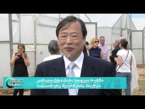 კონფლიქტისპირა სოფელ რუხში სასათბურე მეურნეობა მოეწყო