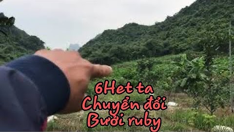 Chuyển Đổi Mô Hình 6Het Ta Sang Bưởi Ruby/Bưởi ruby/Thang bom vlog
