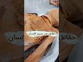 حقائق عن جسم الإنسان