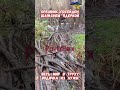 Вся правда о второй армии мира шокирует #армиярф #армияроссии #историяроссии #приколы #историявойны