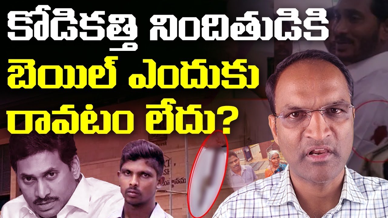 కోడి కత్తి ఎందుకు బెయిల్ రావడం లేదు | Analyst Raja On Kodi Kathi Srinivas Bail Issue | YS Jagan