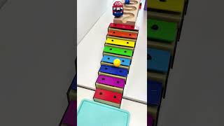Marble Run Race Asmr