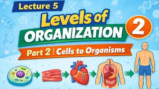 Lecture 5 Levels Of Organization Cl 9 Biology Part 2