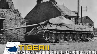 New rare Tiger II 