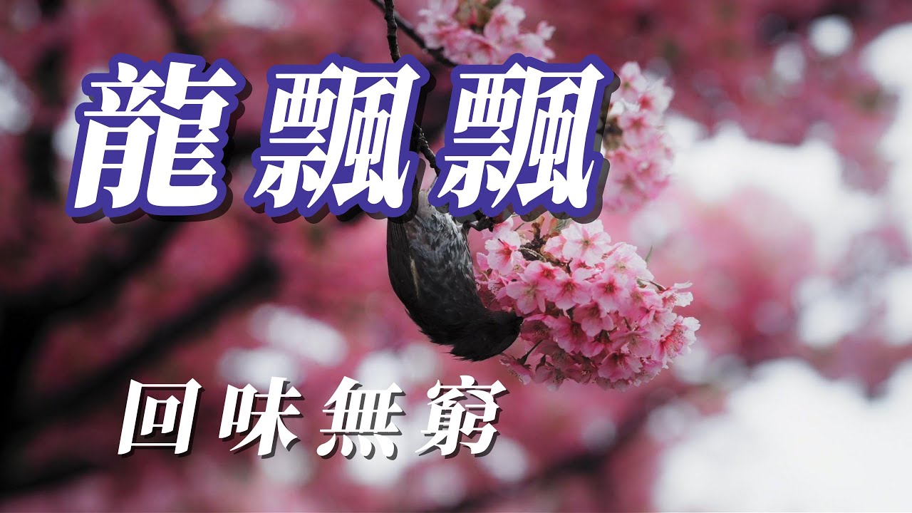 （龍飄飄）回味無窮（精挑細選）謝謝朋友🐯🐯🐯🐯