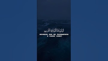 Сура ар-Рум. من سورة الروم صالح اليمني