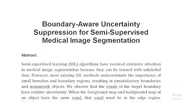 Boundary Aware Uncertainty Suppression for Semi Supervised Medical Image Segmentation