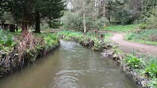 4k Short Low Flight up Balbirnie burn, Park ,Glenrothes, drone view, Ecosseskyview, Matt Livsey