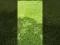 Mow Grass with Me 🌿 Yard Work Motivation | South Texas Lawn Care &amp; Summer Cleanup